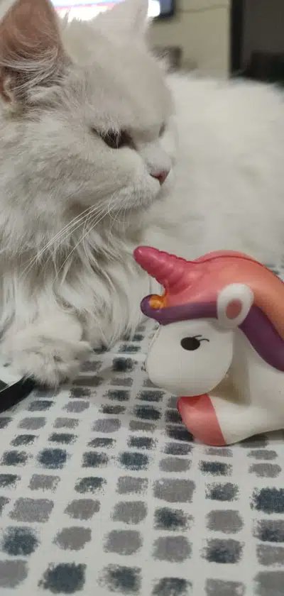 السلام علیکم ورحمتہ اللّٰہ وبرکاتہ 🫶

Gain your followers 🥰
Follow Back 💯
⁦👇👇👇
@LegacyLeavers_
<a href="/N_Ri_da1/">ℜ𝔦𝔡𝔞꧂</a>
@Fahadkh136238
<a href="/raz_1ag/">raza</a>
<a href="/qazi234/">syeda Mahenoor ishtiaq</a>
@551_iii
<a href="/55PR_/">M_H_Tanoli🇵🇰🇧🇭🇵🇰</a>
<a href="/farahdurranii/">𝐂𝐡𝐮𝐥𝐛𝐮𝐥𝐢👑</a>
@chulbuli_001
@FizaRaza72
<a href="/erum_jannat/">Erum Jannat</a>
<a href="/ahma_d44/">🎀 𝒶𝒽𝓂𝒶𝒹 🎀</a>
@786_Malik_
<a href="/Fii__33/">Pak انصافی 🇵🇰</a>
👆👆👆

#F_A_R_I_I_I👑