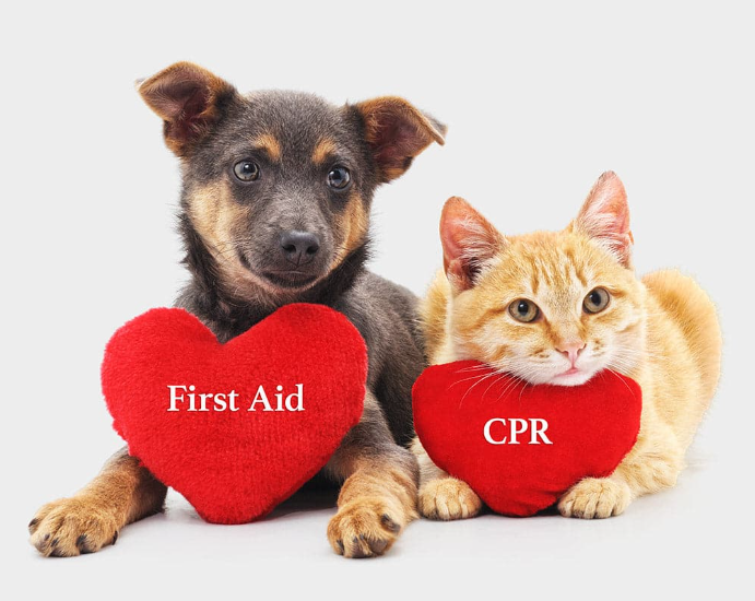 CrossRdsCampus's tweet photo. Join us for a Pet CPR + First Aid class Saturday, January 28, 10am-noon
You don’t need any previous medical training to attend.
Registration is just $25 per person.
https://t.co/ocGV1OXaV0
#dogsofnashville #dogmom #catsofnashville #healthypet #stayhealthy https://t.co/Io2SoYkKbX