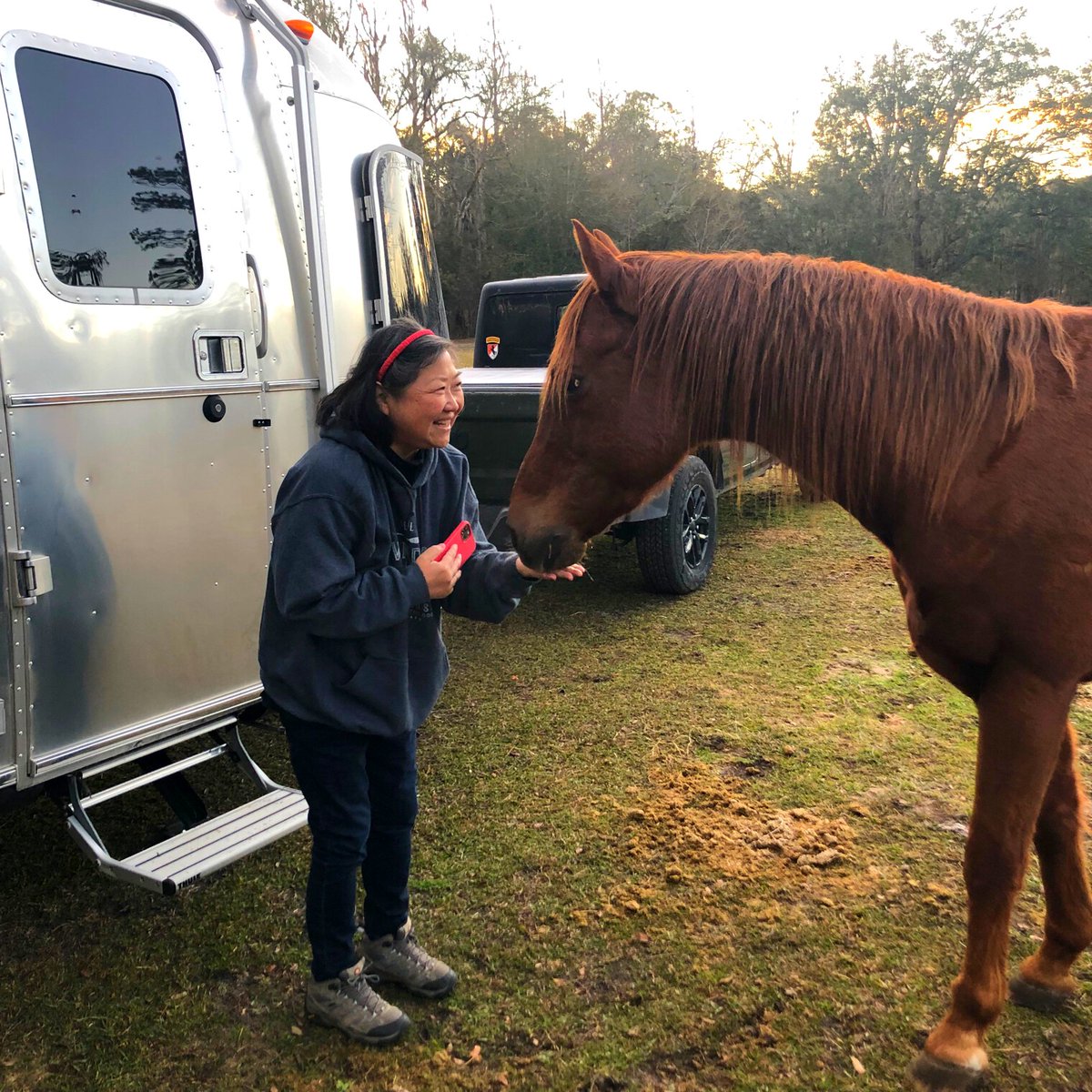 harvesthosts's tweet photo. Caption this 🐎

🚌 Book now on the Harvest Hosts App
🐎 Ranch
📍 Live Oak, FL
📸 J. Lesko

#HarvestHosts #camping #boondocking #rving #rvlife #rvers #travel #gorving #rvlife #rvlifepro #rvlifestyle #rvliving #houseonwheels #airstreamliving #rootlessliving #getoutside https://t.co/tI1giFXtsP