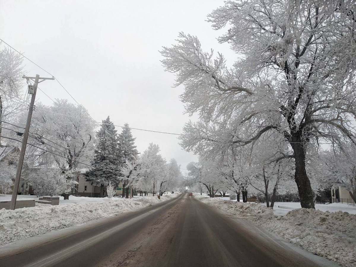 MinotRealEstate's tweet image. The view from my office this week  🚗 🏡 #realtorlife #realestate 
#windshieldtime #minot #northdakotalife #winter2023 #hoarfrost  #NDlegendary #minotrealestate 

Neil Gush, Broker Associate/Co-owner 
Preferred Partners Real Estate
O:(701)852-4663 
PreferredMinotHomes.com
