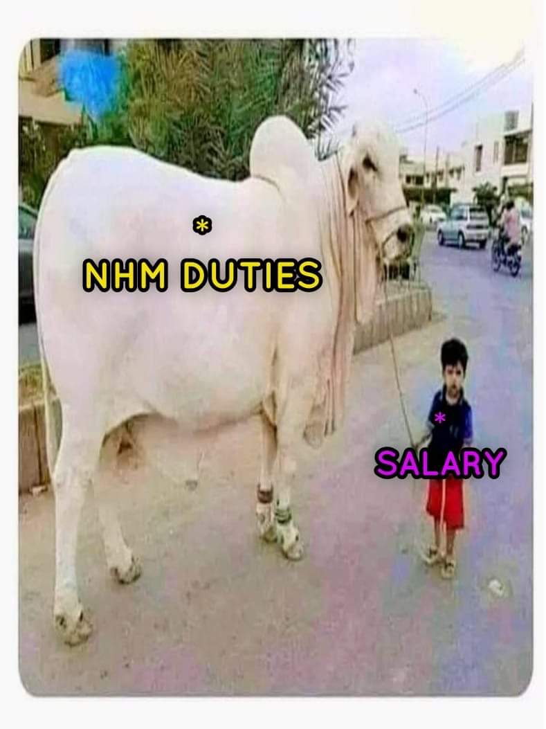 jnhmunion's tweet photo. @nhmup1 @NHMRBSKUK @ajknhmea @nhmindia @NHM_JK @HaryanaNHM @MoHFW_INDIA @cho_union @ChiefSecyUP @narendramodi @myogioffice @myogiadityanath @CMOfficeUP @UPGovt @PMOIndia @narendramodi_in @JPNadda @BJP4India @BJP4UP @Aamitabh2 @brajeshmishrafa @brajeshpathakup @SanjayAzadSln #NHM https://t.co/CXpGUz722i