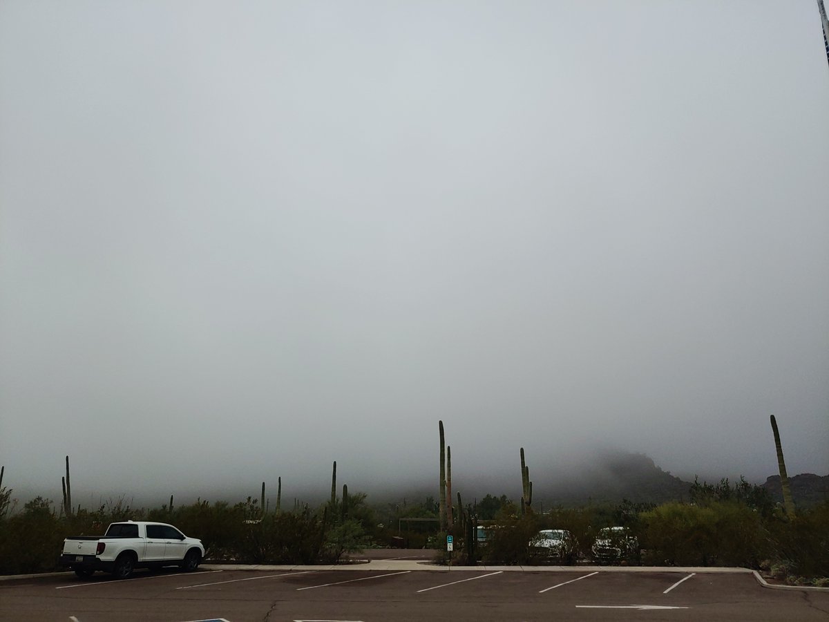 The Sonoran Desert is the wettest desert in the United States. We can attribute this to our biannual rain during the summer monsoon season and the soaking winter rains. This extra rainfall allows the cactus at Organ Pipe National Monument to grow large and strong!