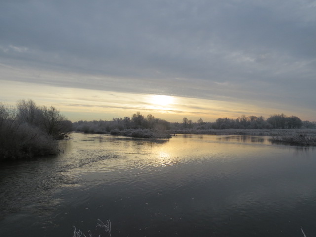 scaupface's tweet photo. Alrewas NMA-  Smew, redhead, near to the confluence, flew off North. 6 Goldeneye, 4 Shelduck, 12 Goosander 3 G Egret, 10 L Egret, Woodcock, Redshank @Staffsbirdnews https://t.co/zh0jit7rdp