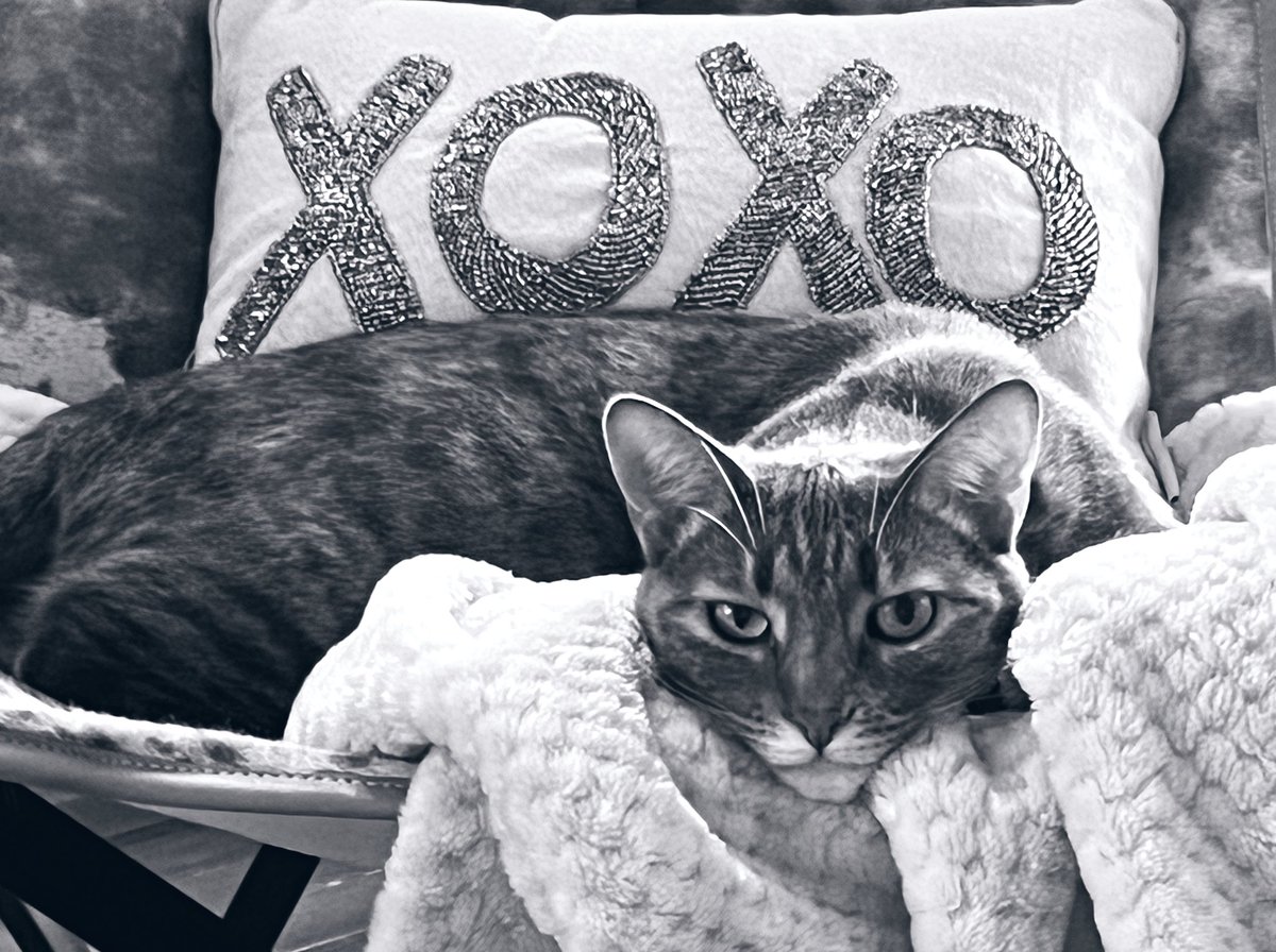 Easy like #SundayMorning 😻🙌