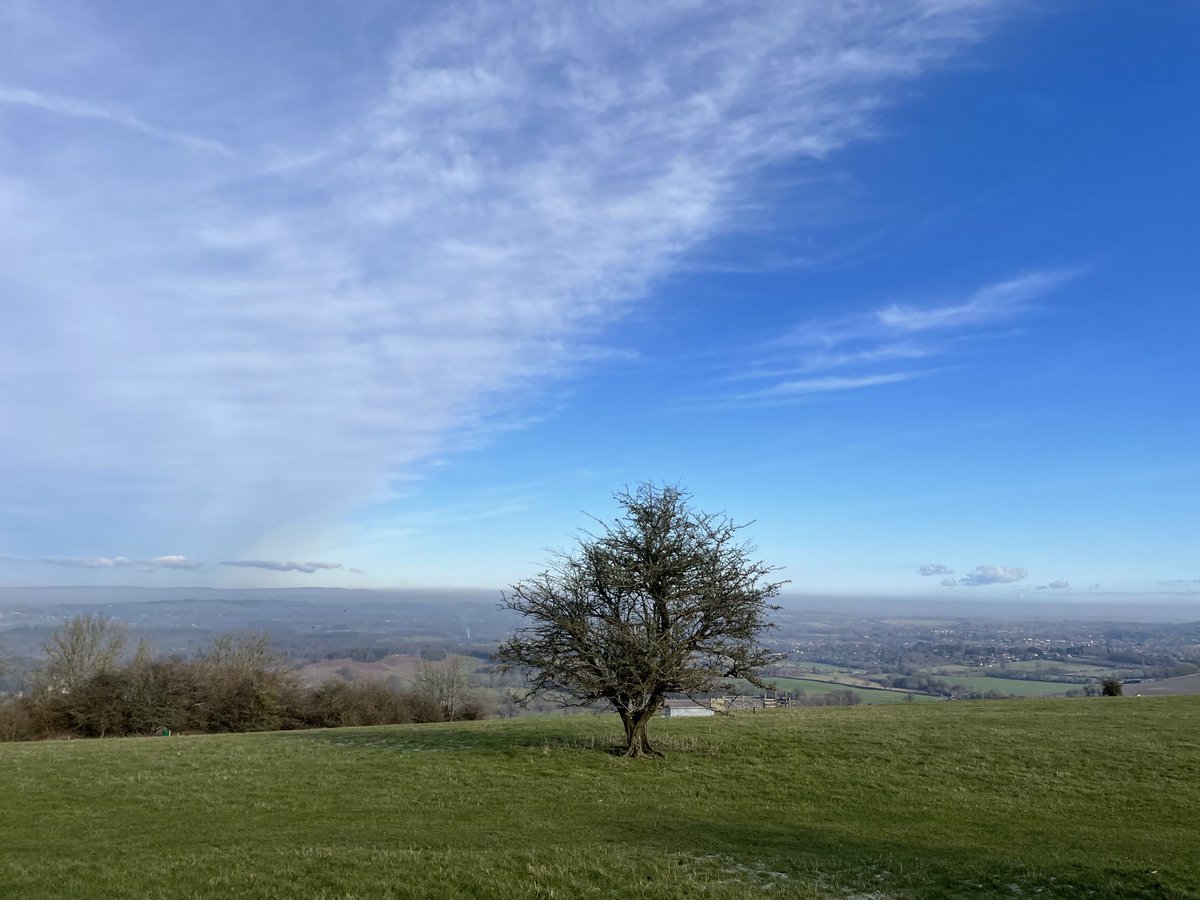 EmmaCameron9's tweet photo. Beautiful, healing walk on the South Downs. Saw ravens, heard a song thrush and skylark. #WritingWalks @sdnpa @SussexWildlife #birding https://t.co/VYryjhQI1K