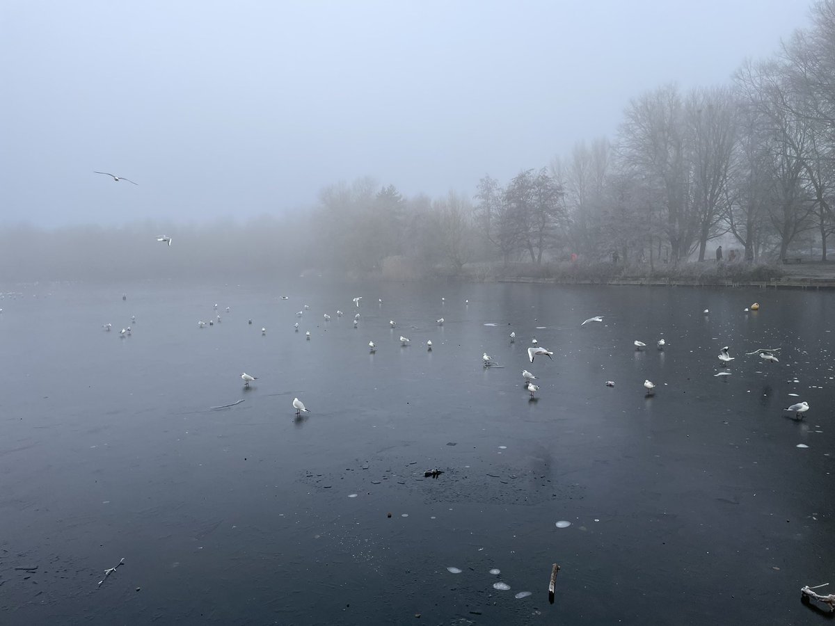 rob_dey's tweet photo. An atmospheric walk at @needhamlake in @Visit_Suffolk this morning… absolutely freezingly delightful… 🥶 ❄️☕️ https://t.co/Mn6rjc92uv