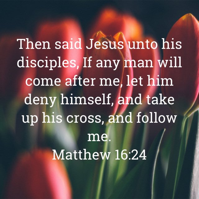 keithvteach's tweet photo. If you are seeking Jesus, come to him while he may be found! https://t.co/CWuNWgn5yh https://t.co/qaIFqgCZ1h