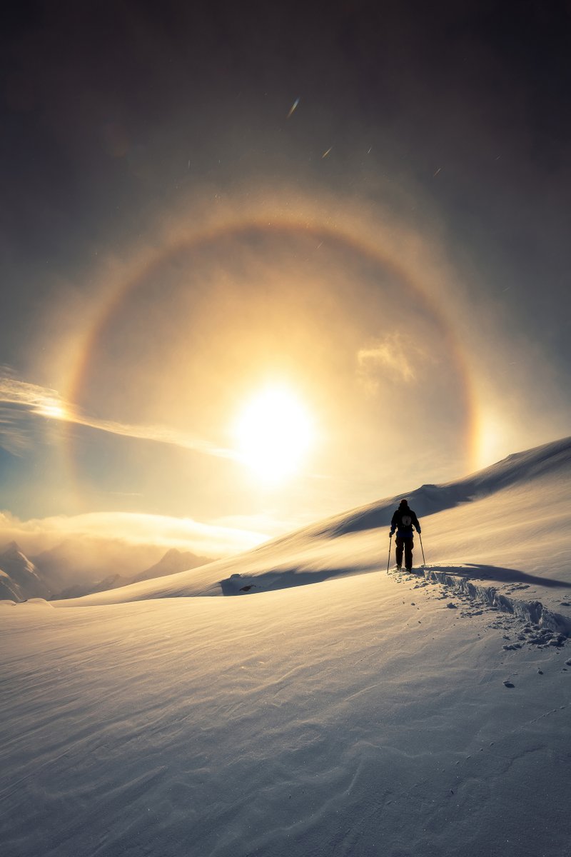 vincentschnabl's tweet photo. gm ☀️ I present to you a simple single frame photograph. No AI, no photoshop, just a lot of hard work and luck. https://t.co/5kx1lNfmVB