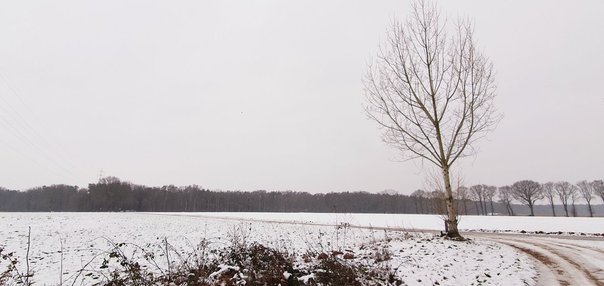 #vrtweer
Bocholt 15u00