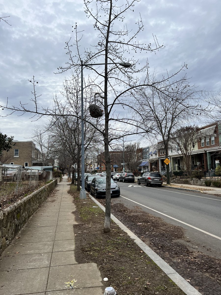 Jon Penndorf tweet media