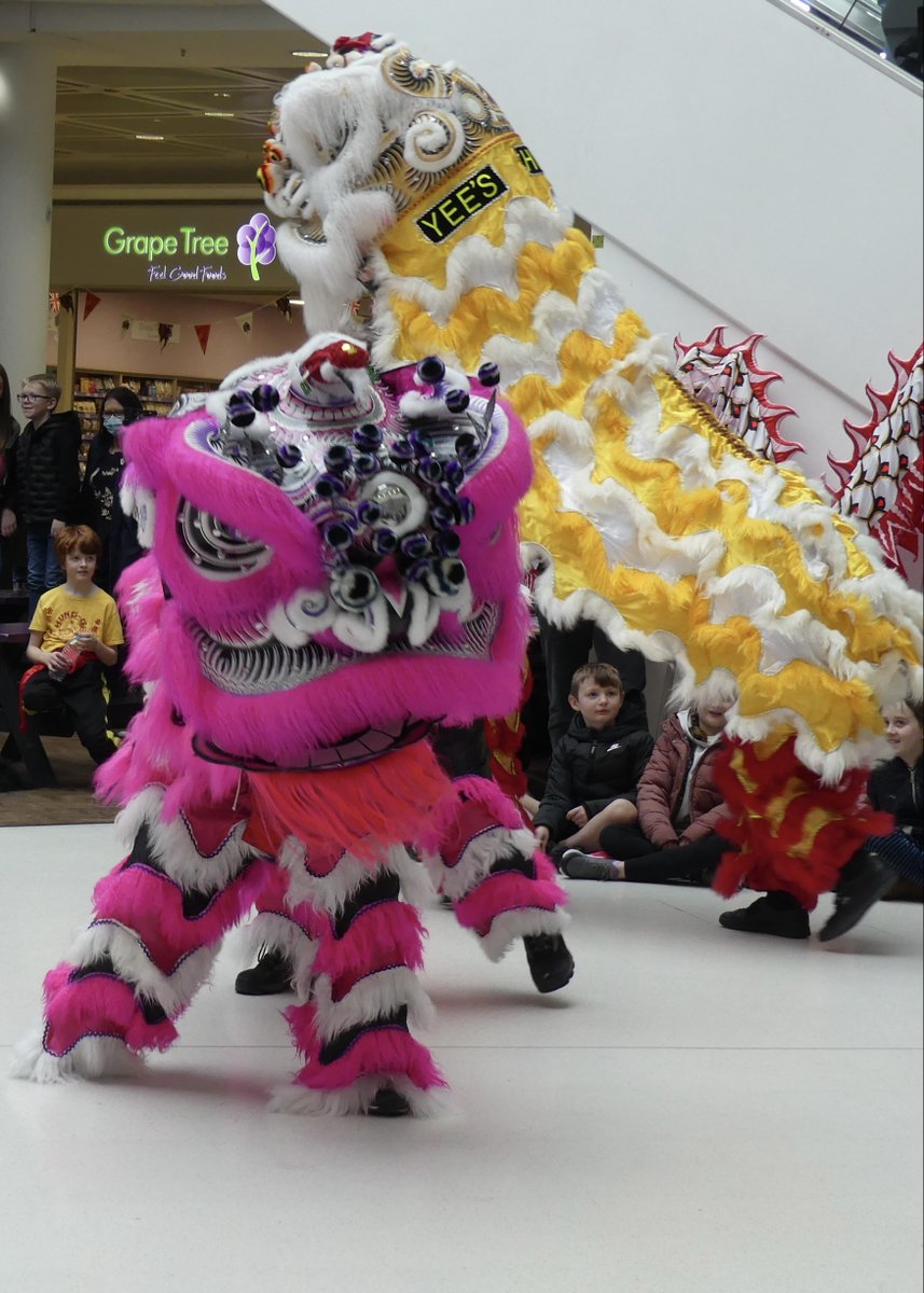 I enjoyed the #Inverness Chinese New Year celebrations with the traditional dragon & lion dances. #ChineseNewYear #YearOftheRabbit