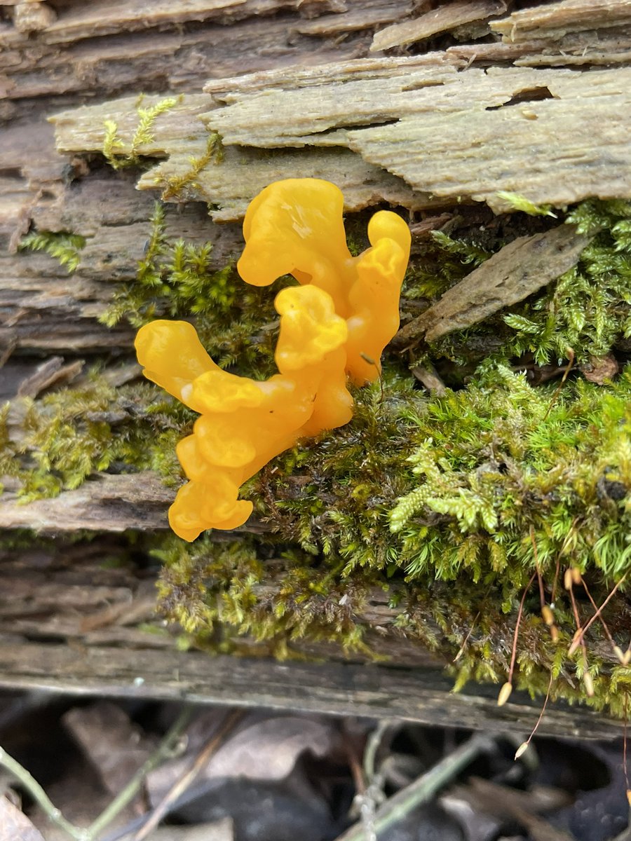 NicholasGabel (@nhg5043) on Twitter photo 