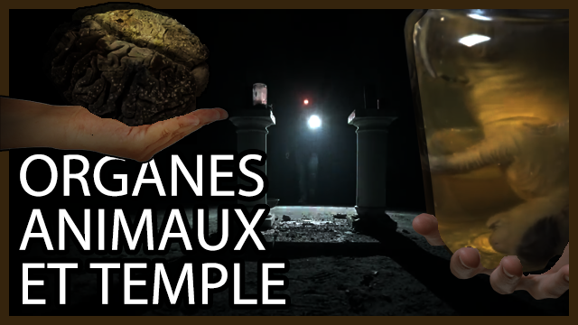 SpectraYoutube's tweet photo. Nouveau journal de l'Urbex :

https://t.co/vbtxyjvTAz

Des organes abandonnées, des animaux morts conservés dans du formol, un temple maçonnique caché sous terre... De l'île-de-France jusqu'en Occitanie, voici l'actualité de l'Urbex de cette semaine.

#urbex #cervelle #Temple https://t.co/pK378nnMBq