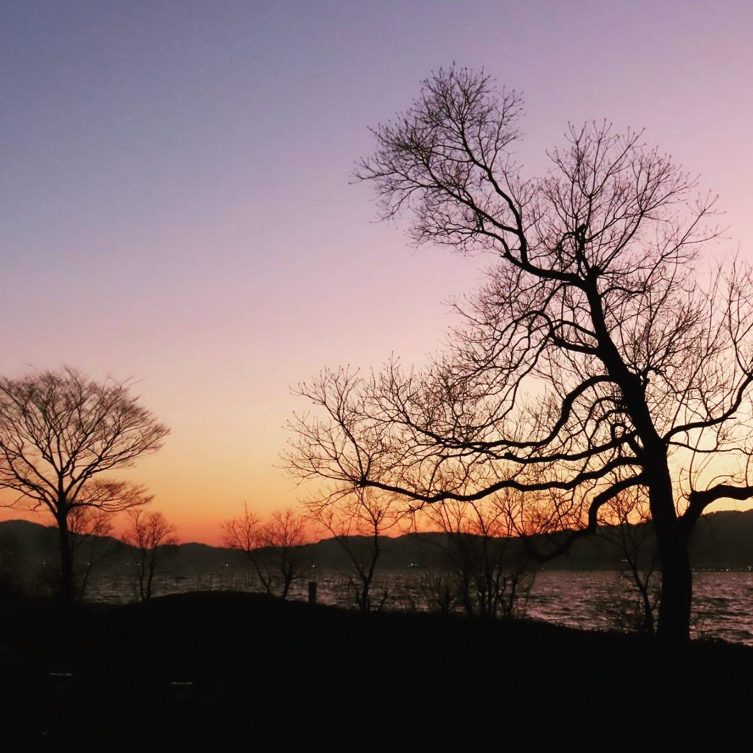 SIGURE_4921's tweet photo. 夕暮れ時 https://t.co/QPYjZx93C9