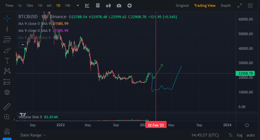 cripto_fer's tweet photo. im back, i will wait to feb 14 - 23 to claim a change of trend in btc, we need to test resistance at 18,500 - 20k level before claiming bull cycle again. Also FOMC meeting coming and more bearish news, imo don't FOMO before feb 14th. If i'm wrong and we go bull again 1/2 https://t.co/thgZKwYefJ