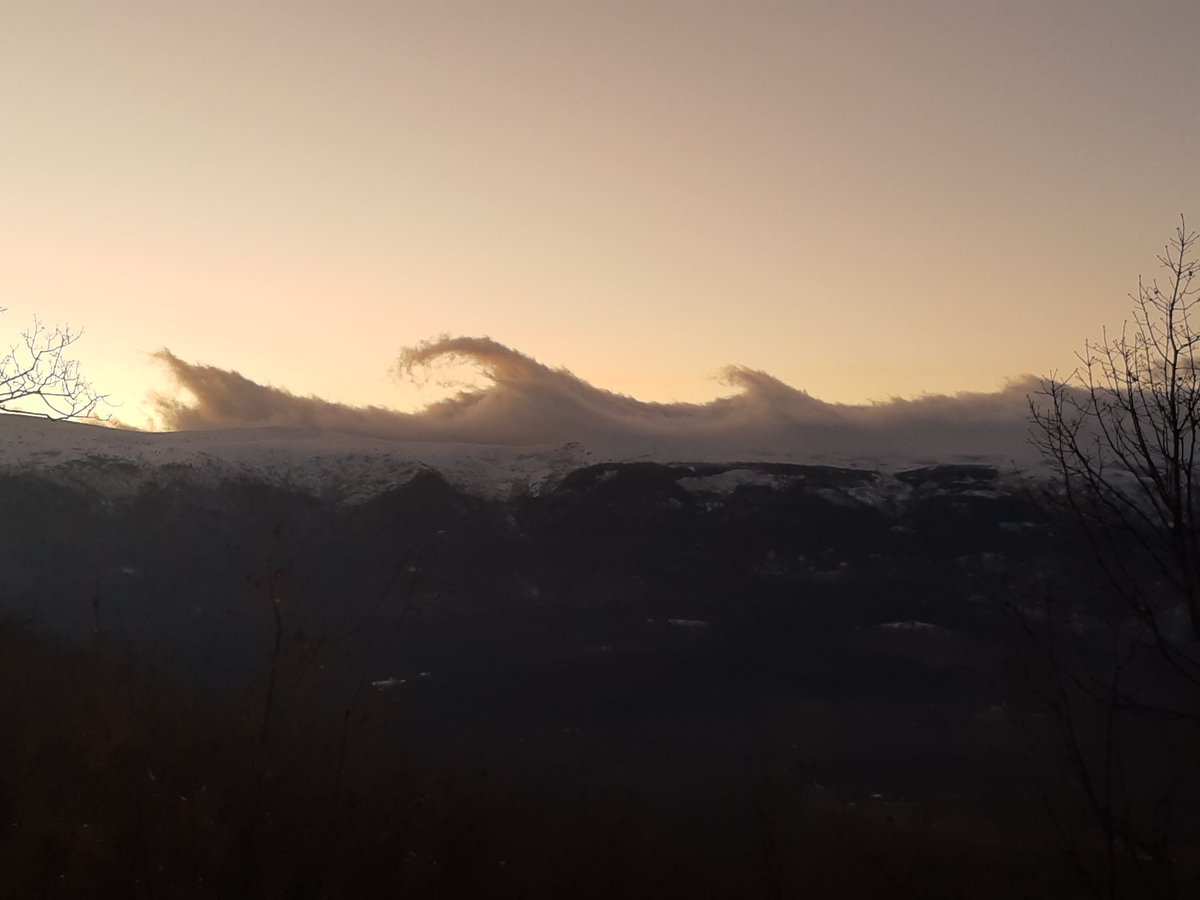 Luis Durán tweet media