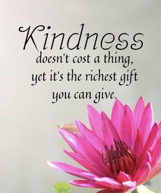 Dianne__LadyD's tweet photo. #RainKindness 
#lifebeautiful 
#BeKind #YouMatter 
#JoyTrain 
#GoldenHearts 
#StarfishClub 
#ThinkBigSundaywithMarsha https://t.co/aYhuKHVZcP