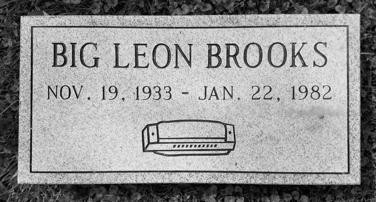 Killer Blues tweet media