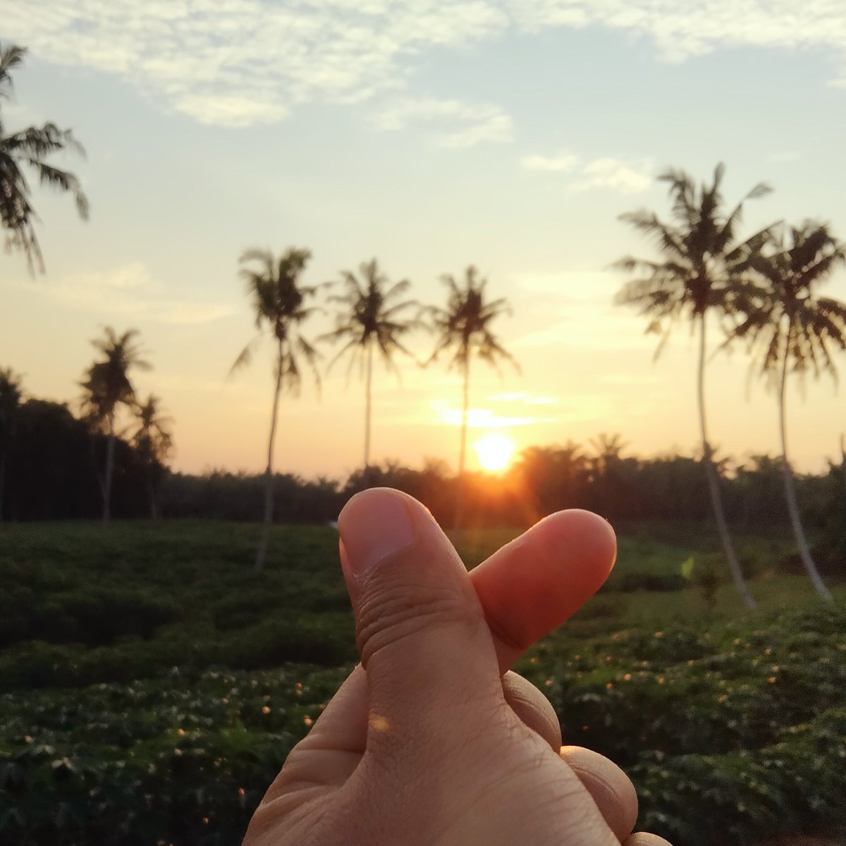 MDude89's tweet photo. #FotoProfilBaru https://t.co/ODC5Pv3qcp
