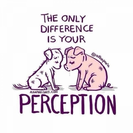 veganfuture's tweet photo. https://t.co/PgwzcD3g6t