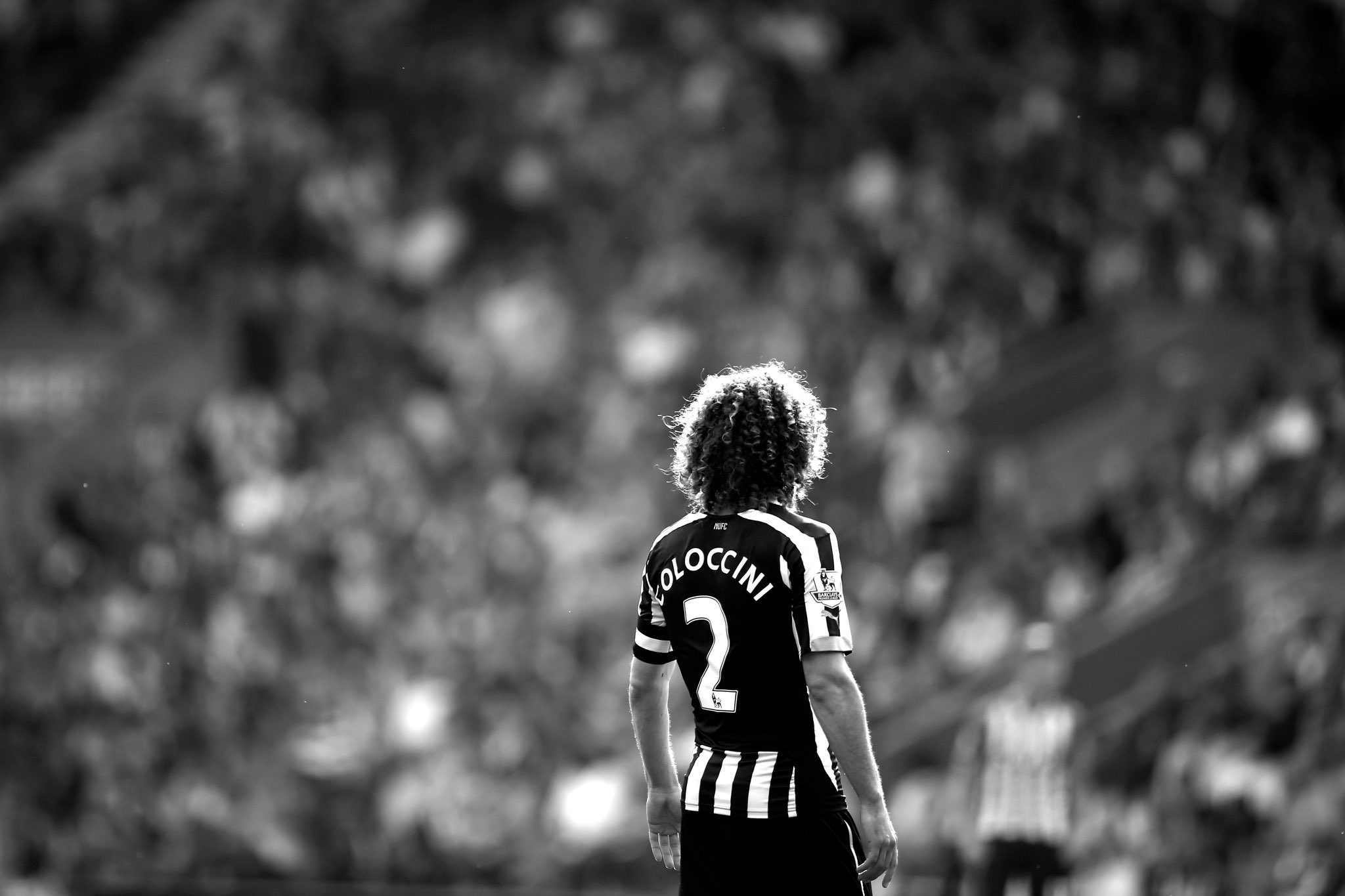Happy Birthday Fabricio Coloccini 41 Years Old Today       