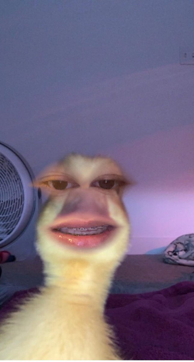 aubses_'s tweet photo. idgaf https://t.co/sfJBcPQAFO
