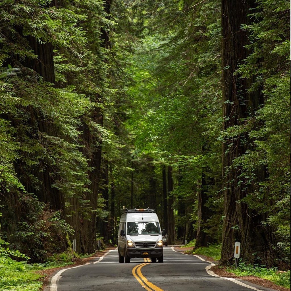 aluminess's tweet photo. Get out and explore. 🌲🏔️🌵🌎
📸 @roavbuilt
.
.
.
#explore #adventure #vanlife #aluminess #desert #mountains #forest #sceanic #adventureteam #campervan #vanbuilds #vanexplorer #vanadventure #vanroamer #vanlifeadventure #exploremore #adventuremore https://t.co/wwDUzd2B4N