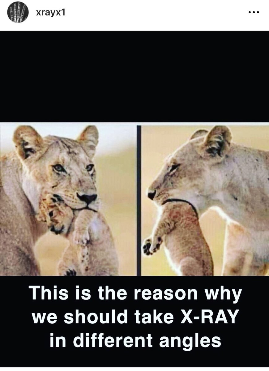 Mohammed tweet media