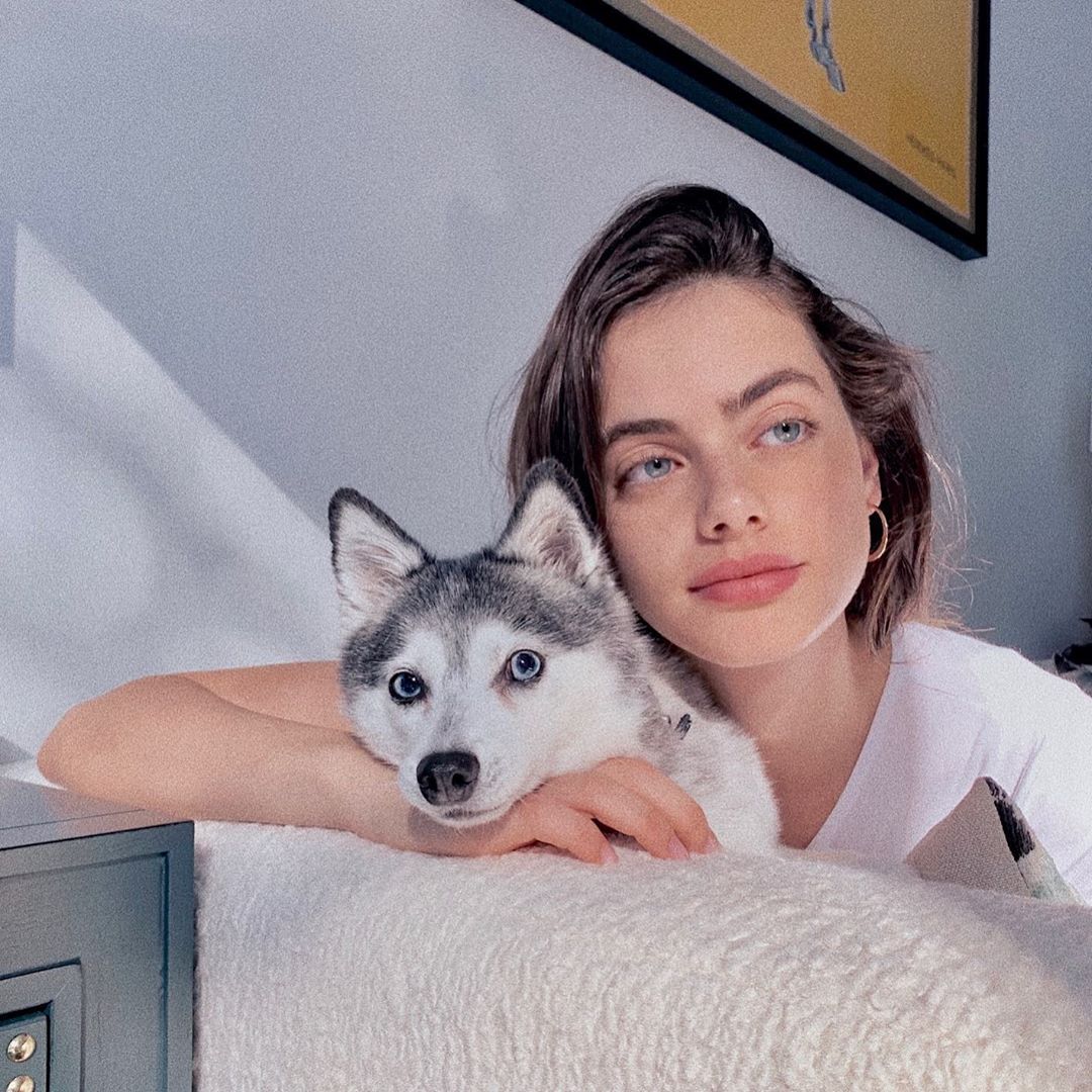 ChxrlxttxL's tweet photo. 🐶💜

#NuevaFotoDePerfil https://t.co/2Axb3bSPKJ