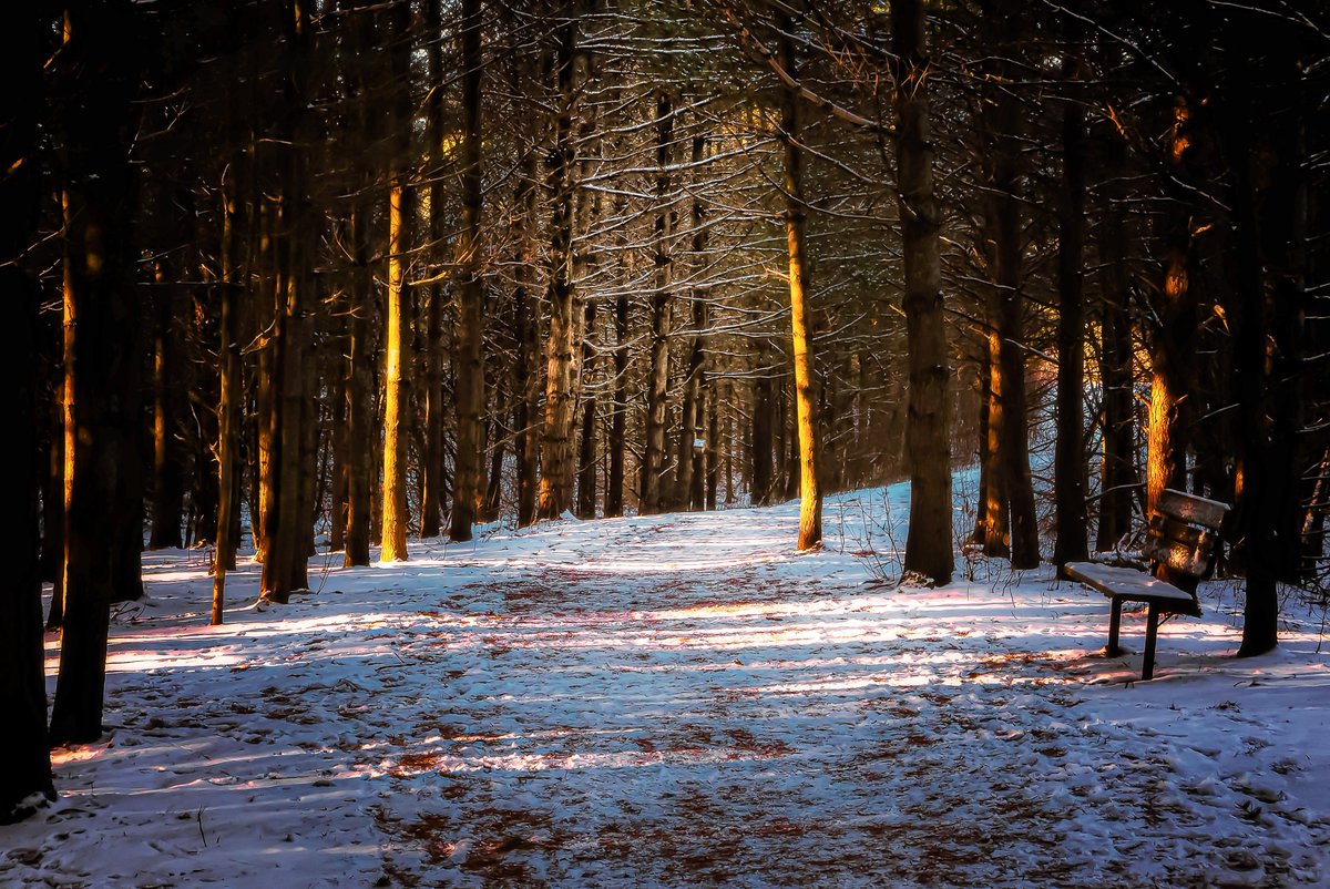 A winter's tale
#NaturePhotograhpy #winterscene #nature #photography #WinterWonderland #canadianwinter #ThePhotoHour