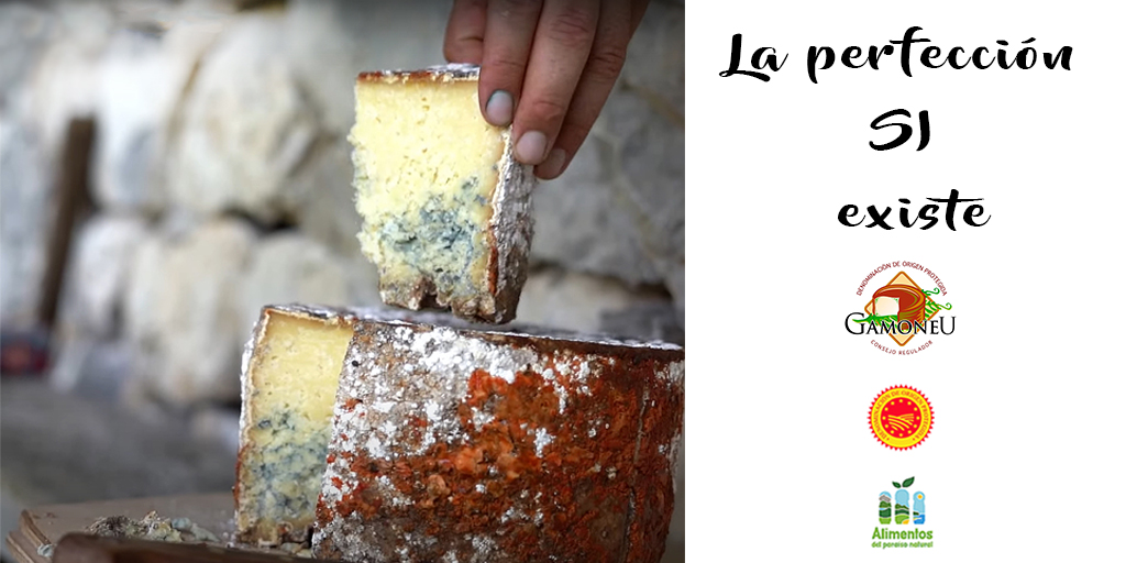 DOPGamoneu's tweet photo. ¡La perfección no existe!  Eso dicen quienes todavía no han probado un 𝗮𝘂𝘁𝗲́𝗻𝘁𝗶𝗰𝗼 𝗾𝘂𝗲𝘀𝗼 𝗴𝗮𝗺𝗼𝗻𝗲́𝘂, para muchos, el mejor queso del mundo 👍. Recuerda, el verdadero es sólo DOP y tiene la etiqueta 🏷 identificativa del Consejo Regulador de la DOP #Gamonéu https://t.co/Phx1FwOgsh