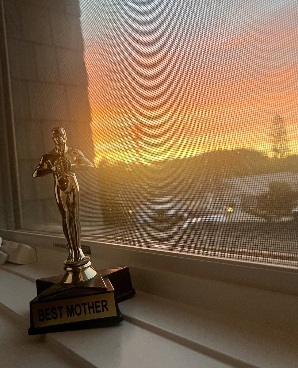 KayeSteinsapir's tweet photo. I was lying in bed, dreading opening my eyes. Sunday mornings are sorrowful since the accident. 

When I did, the sky was filled with color. Good morning, my love, good morning. I feel gratitude again.

M &amp; N were so proud to present me with this trophy when they were little. https://t.co/6FWUPG7PIt
