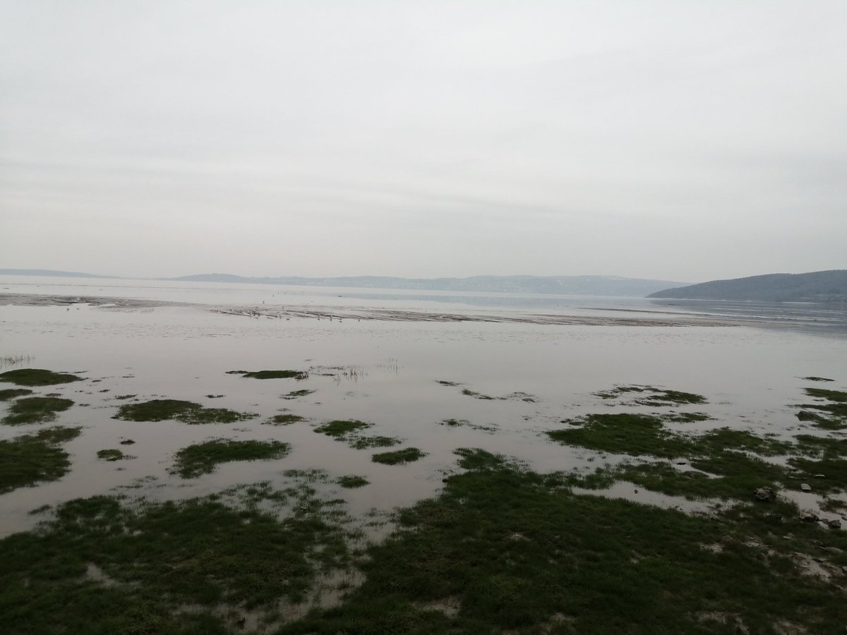 Gingerjane43's tweet photo. Exploring #Lancashire
#silverdale looks a lovely place for bit of open water swimming.
New to driving, typed in Grange over sands instead of bolton la sands..
To get to morecambe #doh https://t.co/imILIkxCuA