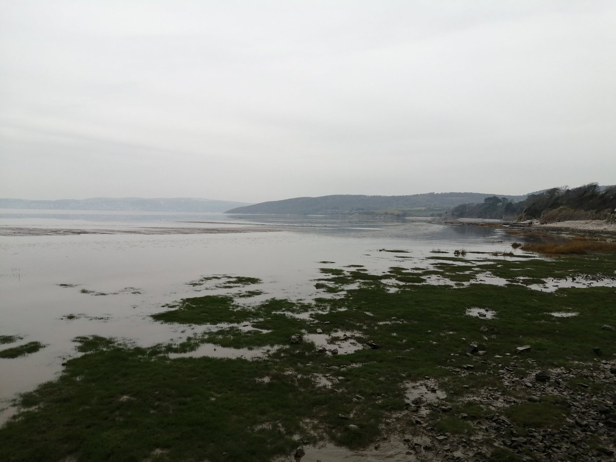 Gingerjane43's tweet photo. Exploring #Lancashire
#silverdale looks a lovely place for bit of open water swimming.
New to driving, typed in Grange over sands instead of bolton la sands..
To get to morecambe #doh https://t.co/imILIkxCuA