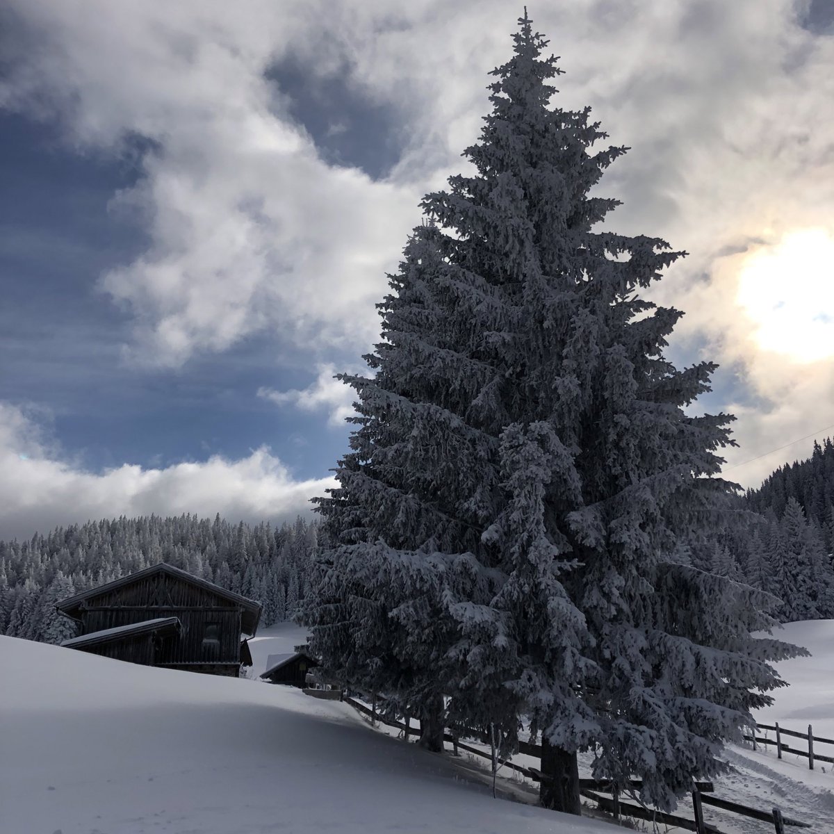 alpen_wetter's tweet photo. Rodelbericht #Sattelbergalm.🥇
Tolles Rodelerlebnis in tief verschneiter Winterlandschaft und super Essen (trotz Hochbetrieb alle freundlich). Die Bahn schnell und griffig ohne Eis und auch keine Hügel. Einziges Manko: Leider keine Schneewände.
#Rodeln #EndlichWinter #intirol https://t.co/c82YaC5XN4