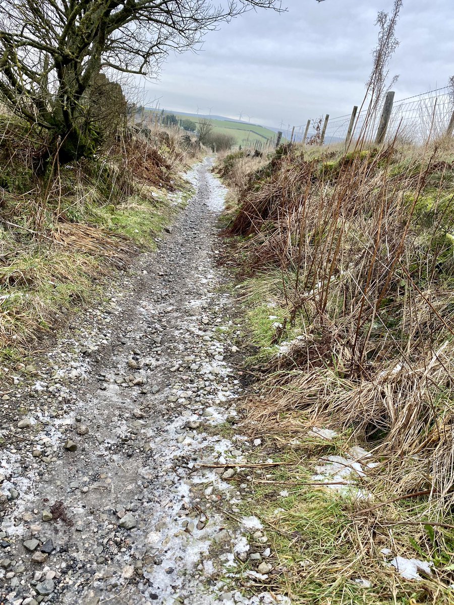 cog_botherer's tweet photo. A lovey (if 🥶) ride on my @NorthRoadCycles Explorer Bess. 
Now eating my current fave post ride food - cheese in toast 👊
#coldsunday https://t.co/5r4BHwKZx2