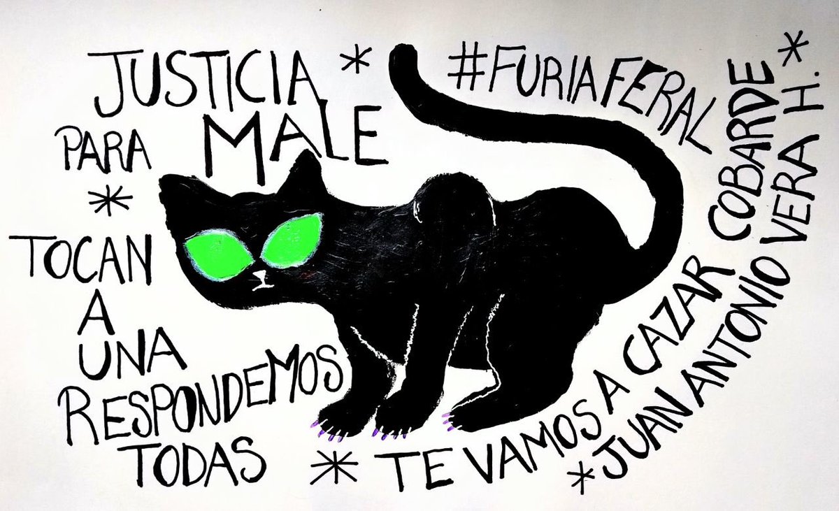 espejodetierra's tweet photo. ⚠️❌El juez #TeoduloPacheco dejó en libertad a Juan Antonio Vera Carrizal, agresor de Elena Rios😡. Nosotras queremos quemarlo todo🔥. #NingunaAgresiónSinRespuesta 🔥#NoMeCuidan #JusticiaParaElenaRios 🔥 https://t.co/69mX2By9YK