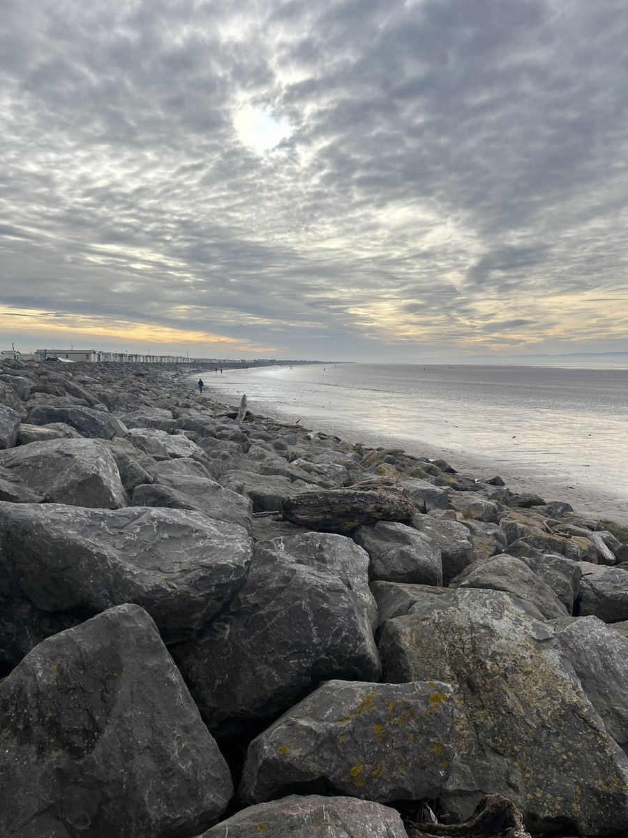 Catherine Owen tweet media