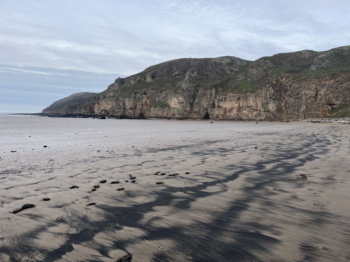 Catherine Owen tweet media