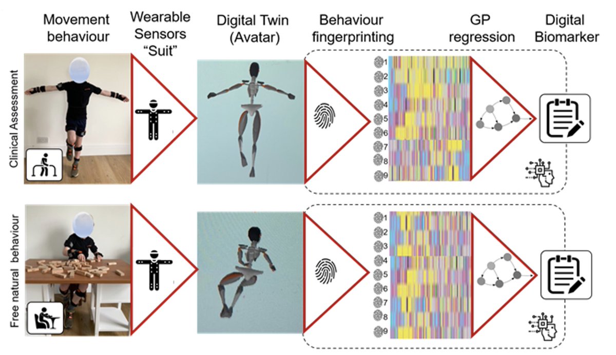 5/10 In both papers we did longitudinal natural history studies with patients drawn from range of disease progression states of FA &amp; DMD. Among other things we measured full-body movement data &amp; clinical assessments (ie “gold”-standard measures) @ trial start, middle &amp; end.