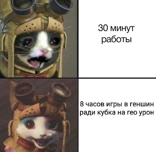 Моя жизнь типа
