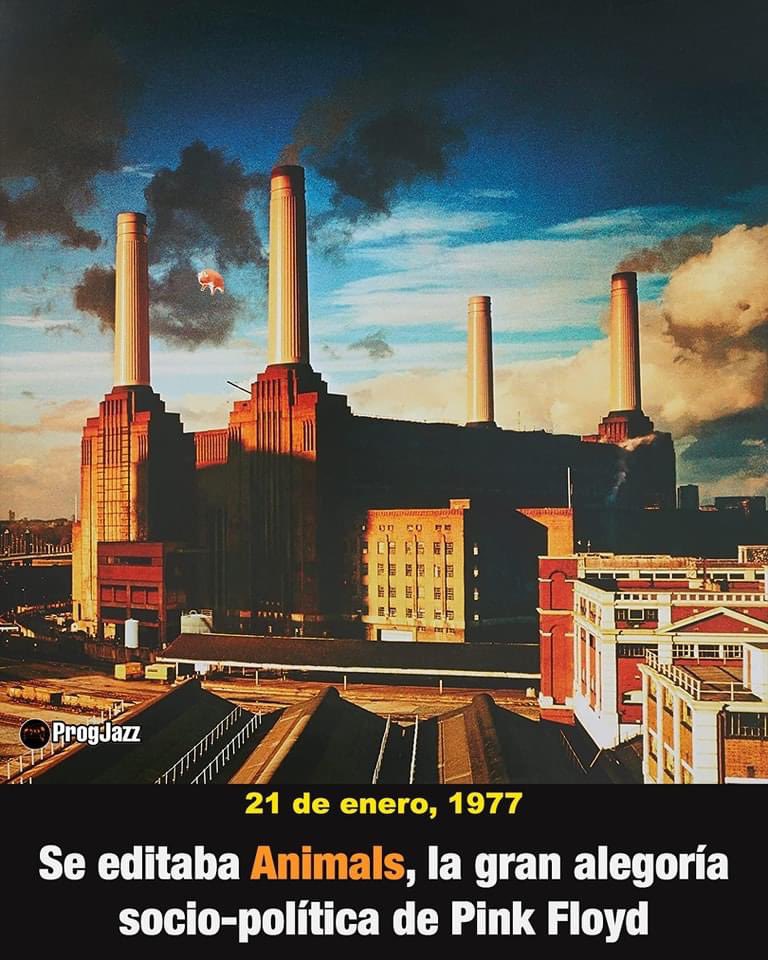 GrupoKalfu's tweet photo. …”es necesario unirse,preocuparse de los demás y abandonar el egoísmo exacerbado”

Un mensaje que después de 46 años parece que hemos terminado por olvidar.     @pinkfloyd https://t.co/aCKLAMznMT