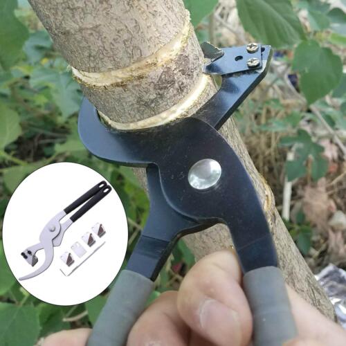 rwhnews's tweet photo. @rwhnews #rwhnews @DefarmerAlex @Selvyn12511922
Read ALT in the photos.
#Girdling refers to the process of removing a strip of bark from the trunk or branches of a tree. This technique is used to improve fruit production, tree health and reducing the amount of competing branches. https://t.co/iHtnRvpCZk