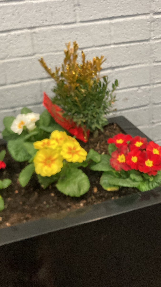 sunmonkey9's tweet image. #monkeyshines2023