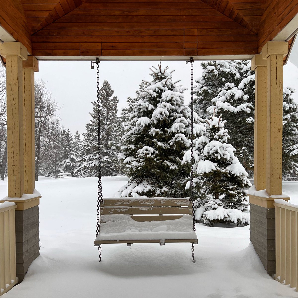 lara_tannir's tweet photo. Good morning ☕️
Looking at this bench, covered in snow and wondering all the stories it’s hiding ❄️ #objectstories
#photography #photo #photographer #photooftheday #camera #snowyday #beauty #nature #naturebeauty #naturelover #beautyofnature #landscape https://t.co/0v8z7kHz0p
