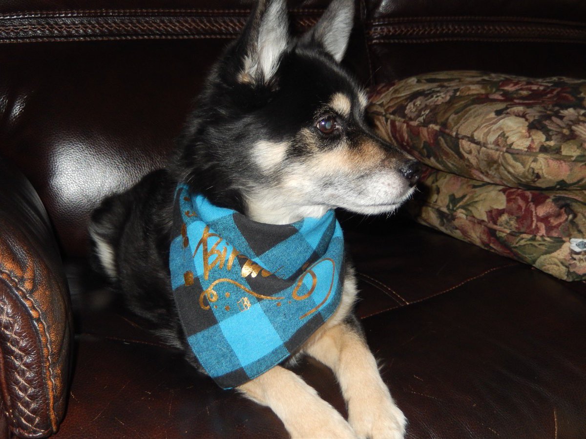 Welp today is my birthday, 14, I shall party like a rockstar 😎<a href="/Beverly04092939/">Beverly Edwards 🐕🤶</a>