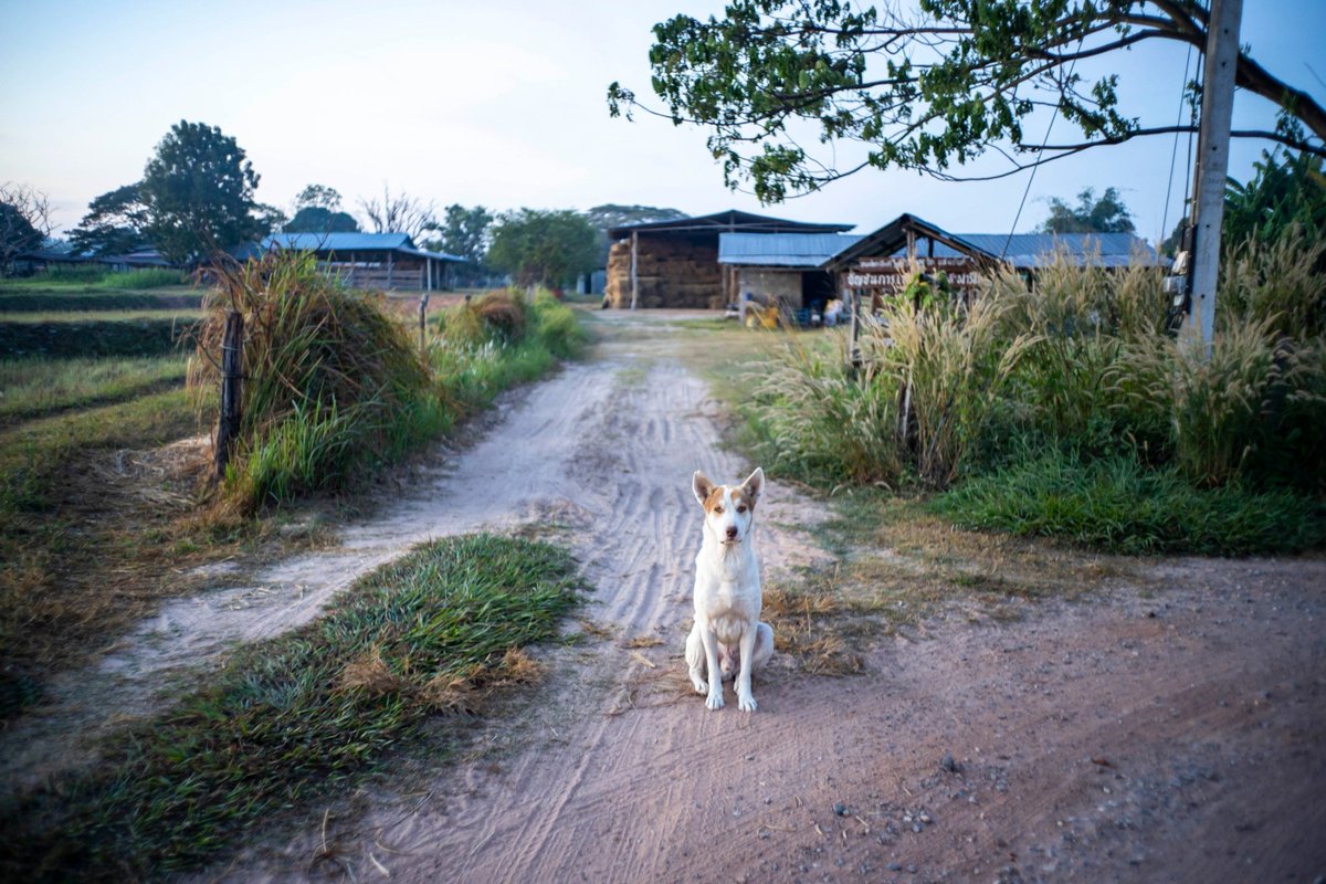 ฮัก สารคาม