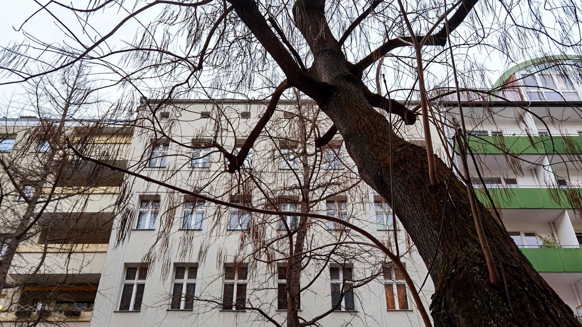 Stift_und_Bogen's tweet photo. Die Zeitschrift "Der Junggeselle" bewertete ihre erste Kurzgeschichte als "viel zu keck".
Rostocker Straße 28, Moabit. Herta #Zerna (* 1907, † 1988), die hier aufwuchs, wurde Journalistin, ging unter dem NS-Regime in den Widerstand und starb einsam #otd vor 35 Jahren. #Berlin https://t.co/qjaOwH9u7u