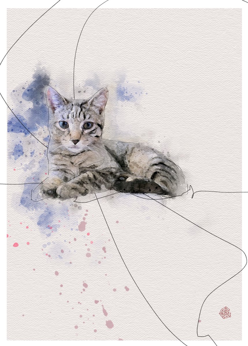 Wendy - Still a kitten - Splitter-splatter kitty.

Learn more about Insta Pet Portraits at bit.ly/tw-InstaPetPor…

 #hiku #oceansideca #oceansidecalifornia #racoon #purple #lavender