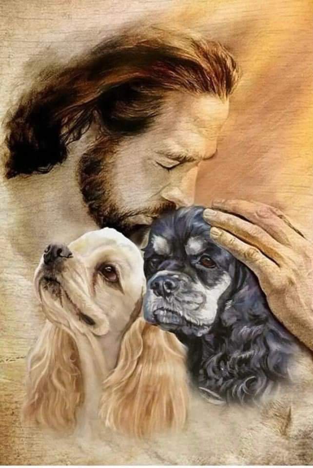 #AdoptaNoCompres 

#AdoptaYSalvaUnaVida 

#Noalmaltratoanimal